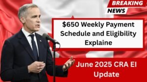 June 2025 CRA EI Update: $650 Weekly Payment Schedule and Eligibility Explained